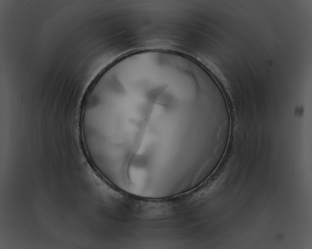 X0000091520941200708311245