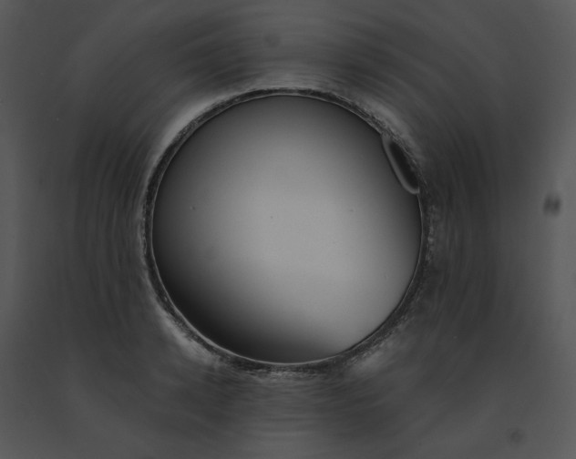 X0000091520942200708311245