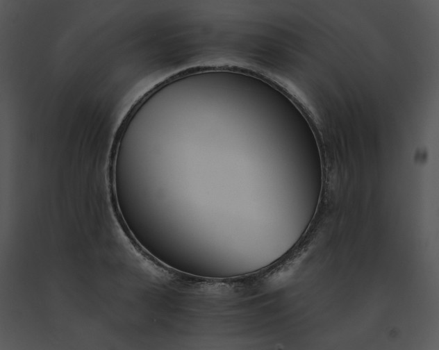 X0000091520943200708311245