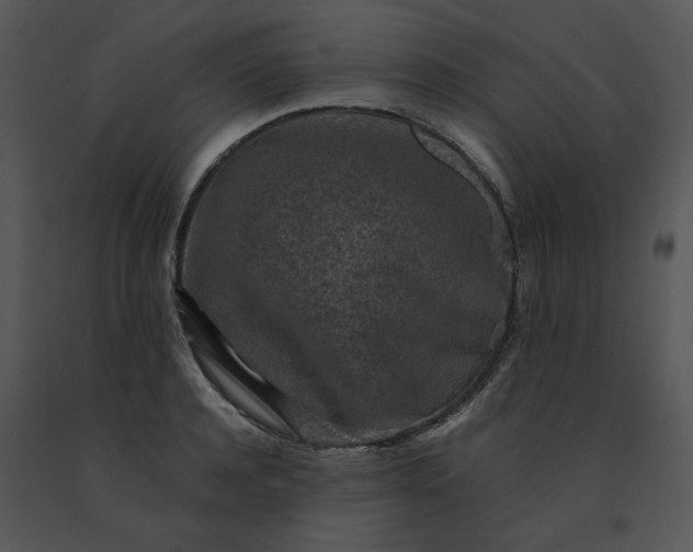 X0000091520944200708311245