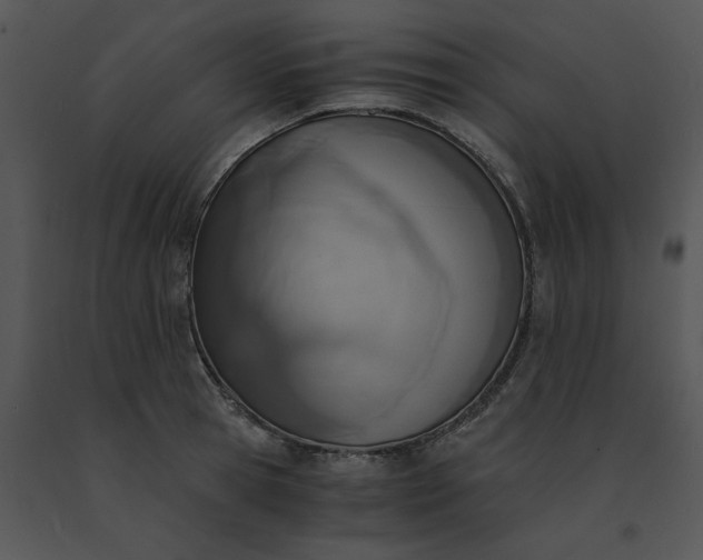 X0000091520945200708311245