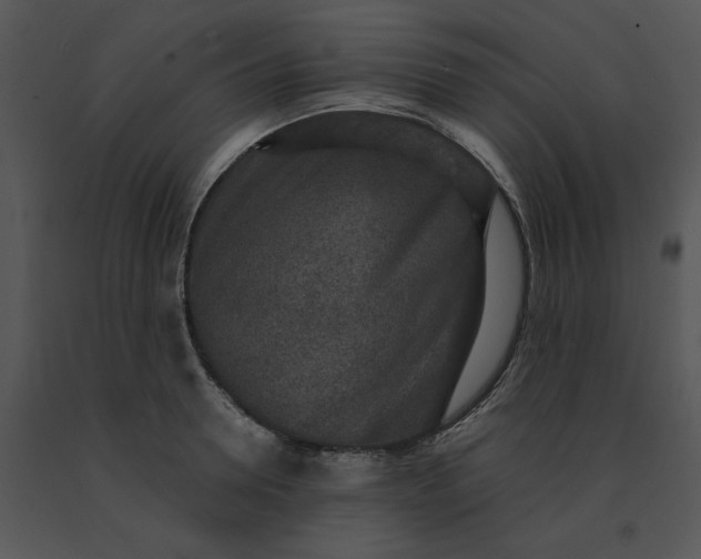 X0000091520946200708311245