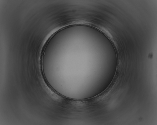 X0000091520947200708311245