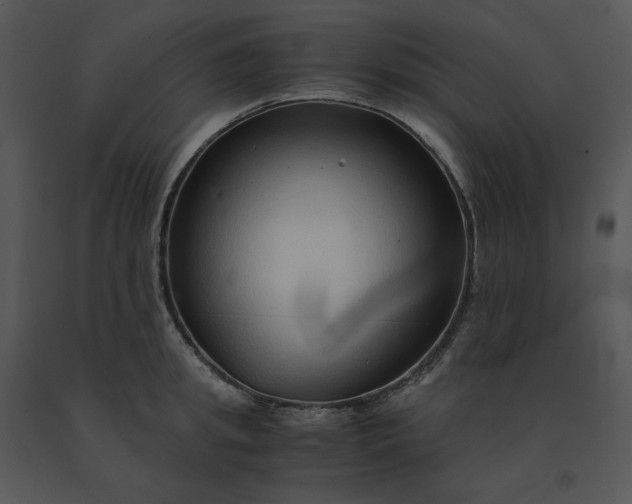 X0000091520949200708311245