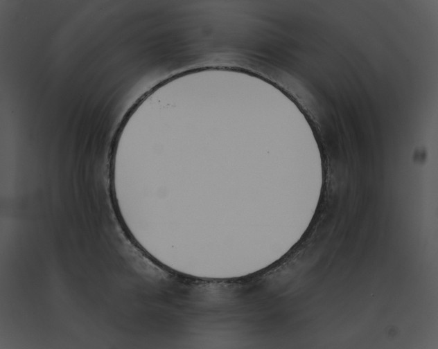 X0000091520950200708311245