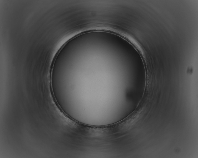 X0000091520951200708311245