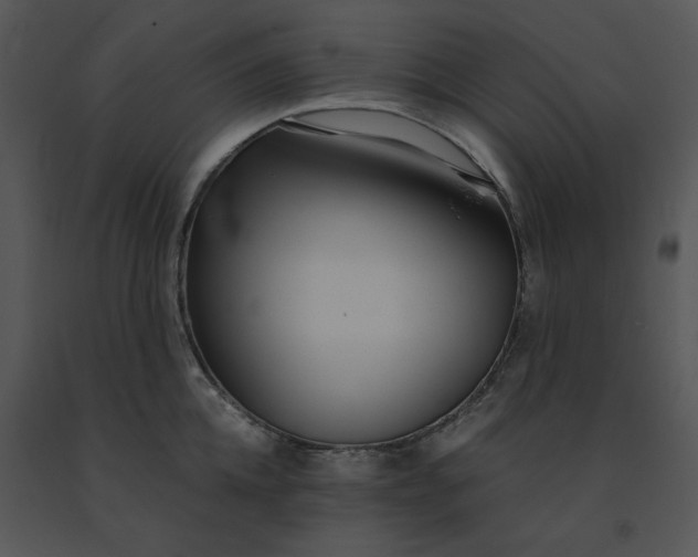 X0000091520952200708311245