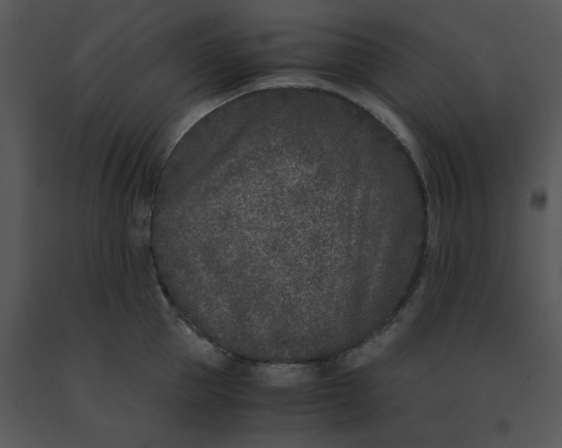 X0000091520953200708311245