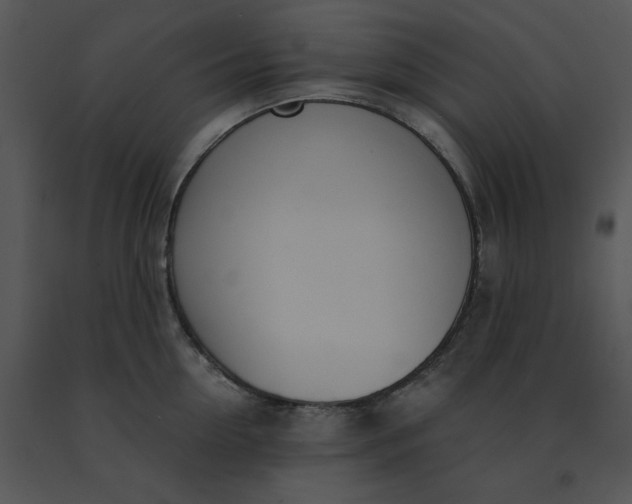 X0000091520954200708311245