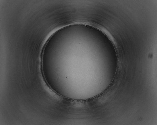 X0000091520955200708311245