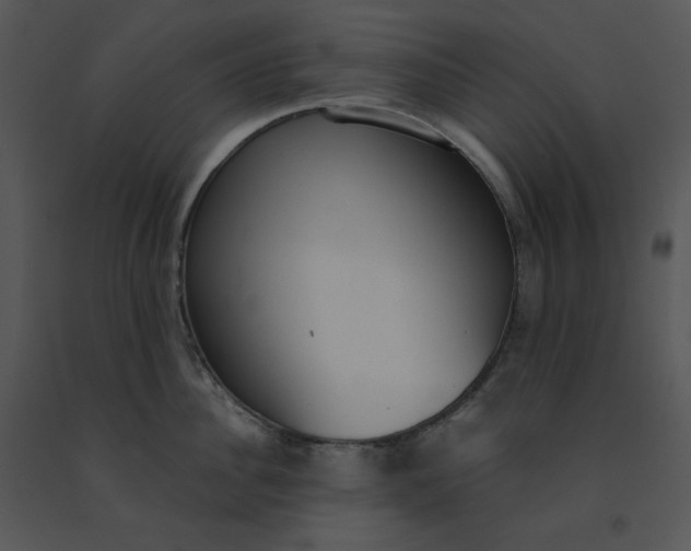 X0000091520956200708311245