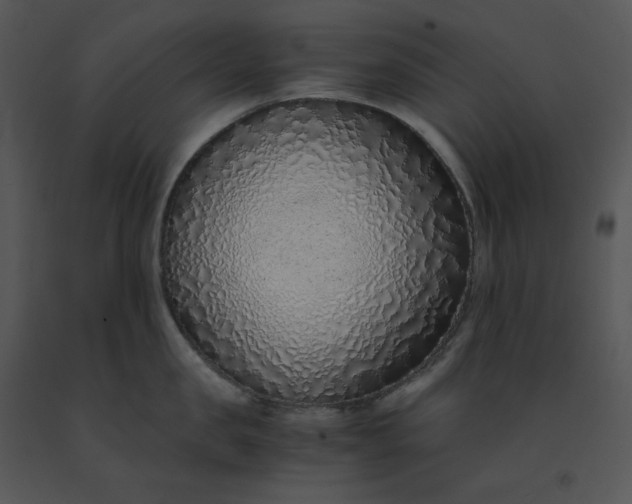 X0000091520957200708311245