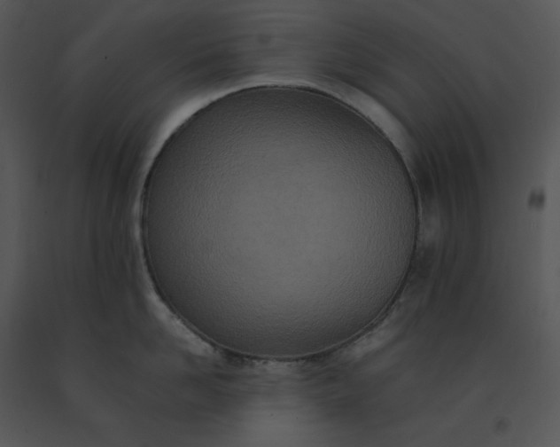 X0000091520958200708311246