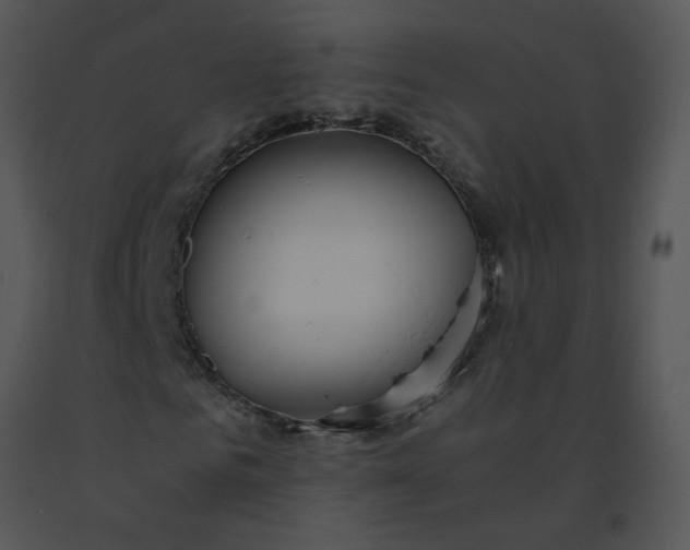 X0000091520961200708311245