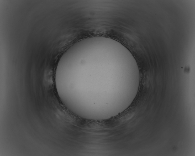 X0000091520962200708311245