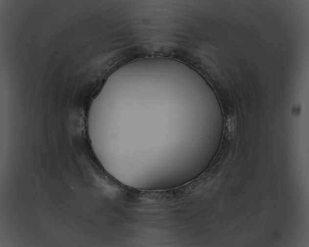 X0000091520963200708311245