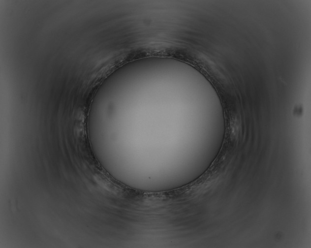 X0000091520964200708311245