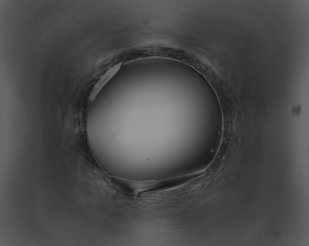 X0000091520965200708311245