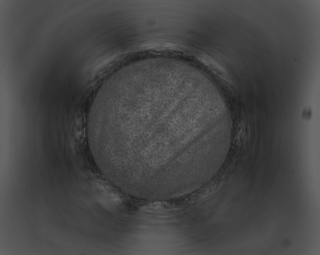 X0000091520966200708311245