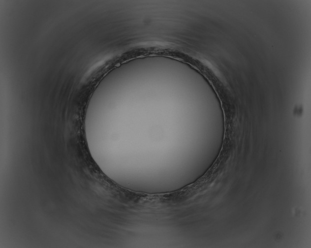 X0000091520967200708311245