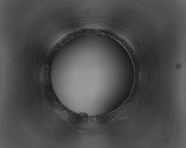 X0000091520968200708311245