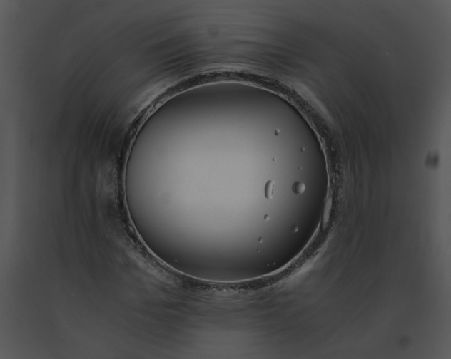 X0000091520969200708311245