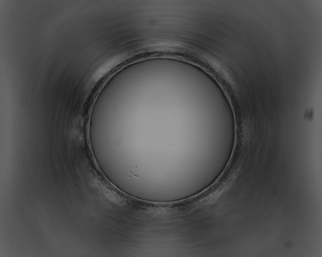 X0000091520970200708311245