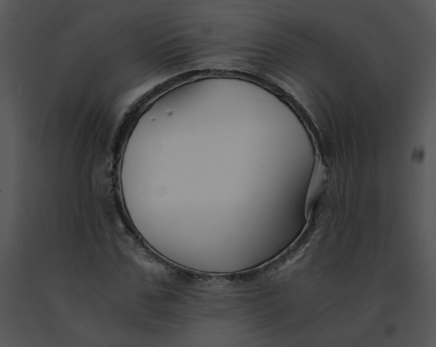 X0000091520971200708311245