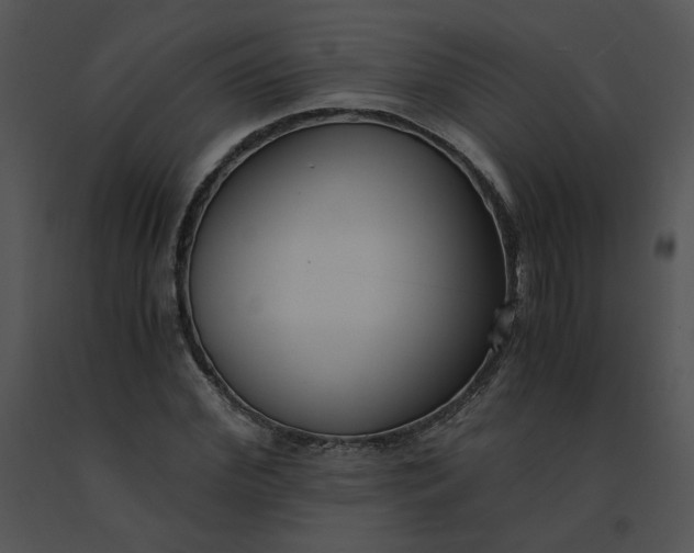 X0000091520972200708311245