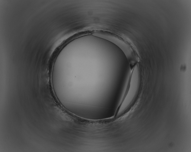 X0000091520973200708311245