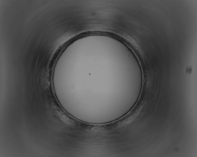 X0000091520974200708311245