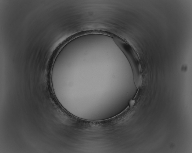 X0000091520975200708311245