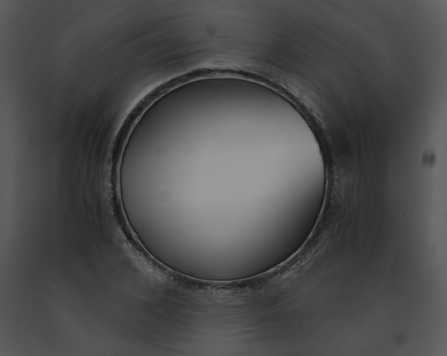 X0000091520976200708311245