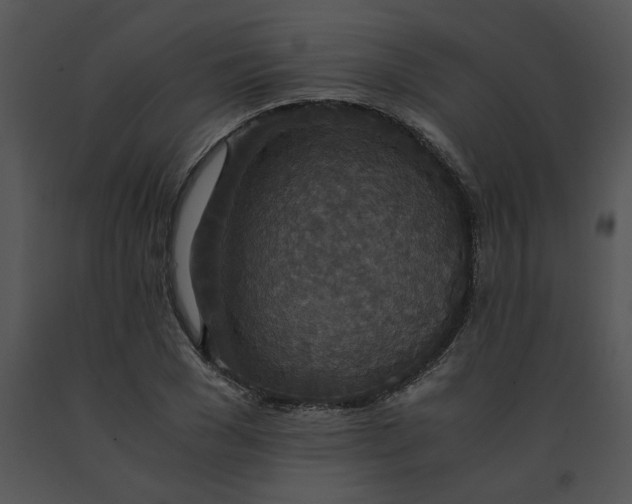 X0000091520977200708311245