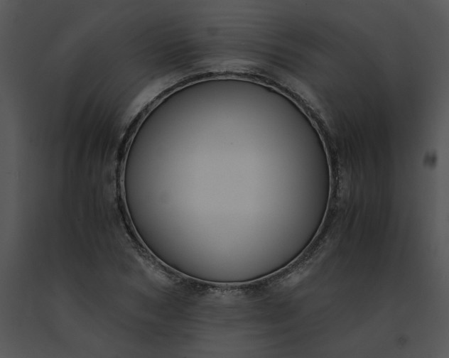 X0000091520978200708311245