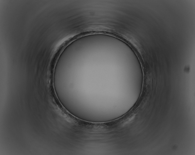 X0000091520979200708311245