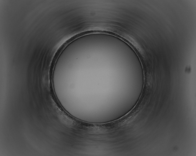 X0000091520980200708311245