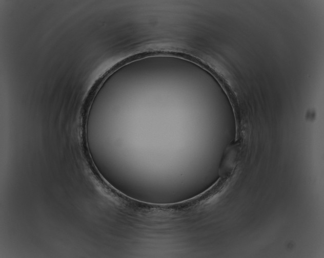 X0000091520981200708311245