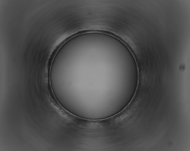 X0000091520982200708311245