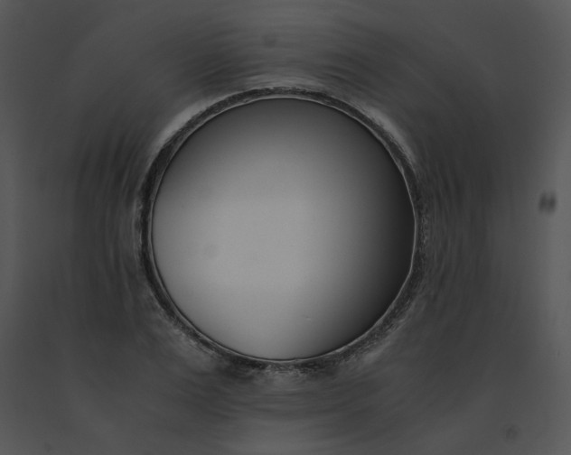 X0000091520983200708311245