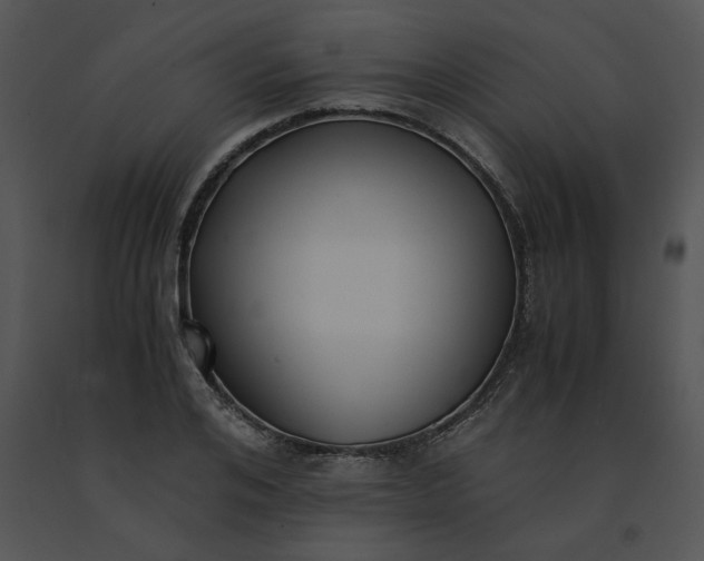 X0000091520984200708311245