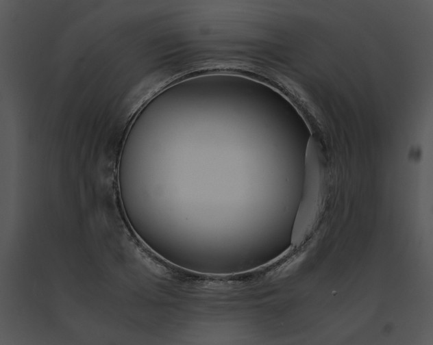 X0000091520985200708311245