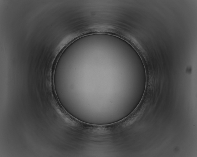 X0000091520986200708311245