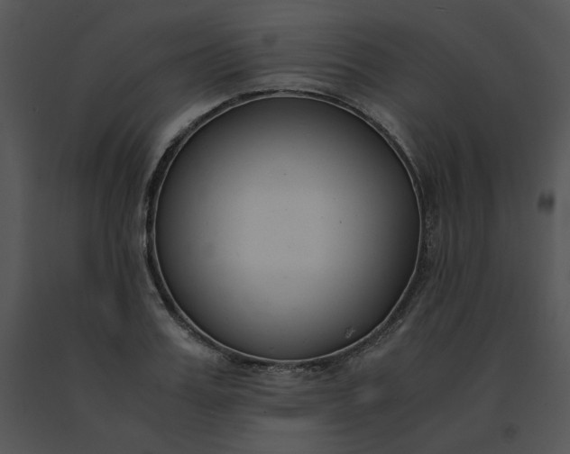 X0000091520987200708311245