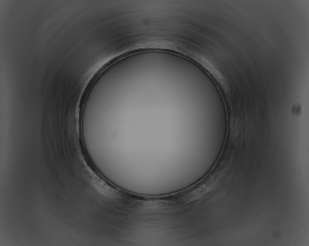 X0000091520988200708311245