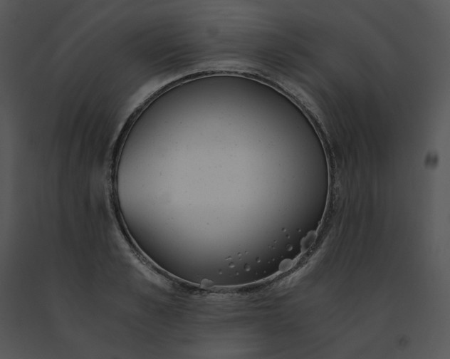 X0000091520989200708311245