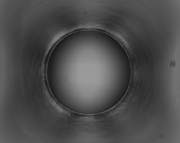 X0000091520990200708311245