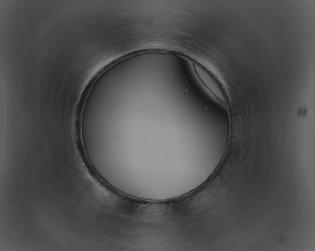 X0000091520991200708311245