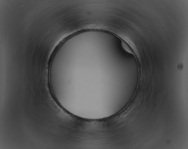 X0000091520992200708311245