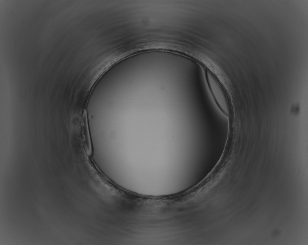 X0000091520993200708311245